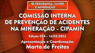 Comissão Interna de Prevenção de Acidentes na Mineração  - CIPAMIN