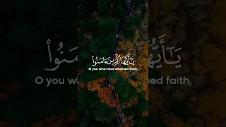 إن الله وملائكته يصلون على النبي يا أيها الذين آمنوا صلوا عليه وسلموا تسليما القارئ ماهر المعيقلي  إن الله وملائكته يصلون على النبي يا أيها الذين آمنوا صلوا عليه وسلموا تسليما القارئ ماهر المعيقلي