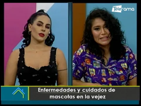 Enfermedades y cuidados de mascotas en la vejez