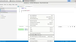 run external program with python