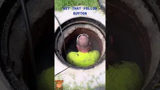 شاهد الحشرات تخرج من المجاري 