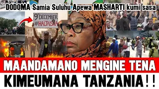 Samia Suluhu DODOMA MAANDAMANO Mengine YAANDALIWA APEWA MASHARTI 10 Kabla DECEMBER 