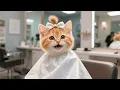 Download Lagu Ginger Kitten Wants a Beautiful Hairstyle Too — So He Works at a Indian Eatery to Save for the Spa