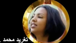 أبو عركى لوكنت ناكر للهوى زيك نغريد محمد 