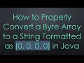 How to Properly Convert a Byte Array to a String Formatted as 0 0 0 0 in Java