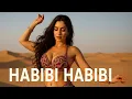 Lagu Habibi Habibi - Official Music Video | Layla Noor x DJ Rameez | Arabic Fusion 2025