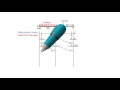 SA39 Exercise Problem 1