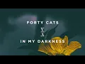 Forty Cats - In My Darkness