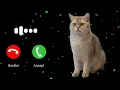 Download Lagu nada dering suara kucing@Tahip