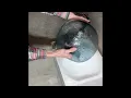 CASAMOTION Pendant Light fixture