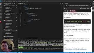 How to do inline styles in css - CSS Interactive