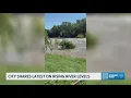 Recent rains send surge down Frio Atascosa rivers but will it reach local reservoirs