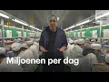 Download Lagu Hier worden bijna alle vapes van de wereld gemaakt