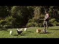 WHY HIM 2016 - Chicken Parkour Fight Scene