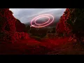 Sigma, Carla Marie, Beenie Man - Hope (Benny Page & Dope Ammo Remix)