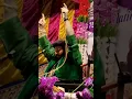 Download Lagu Sare Bolo ya ali Chand afjal Qaderi #shorts #shortsvideo #ytshorts #qwwali  #chandafzalqadri