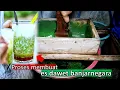 Download Lagu BIKIN SEGERRR - Ternyata Begini Cara Membuat Minuman Populer Es Cendol Ayu Banjarnegara