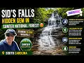 Hidden Gem in Sumter National Forest