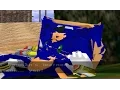 Sonic Generations - Sonic the Freakhog