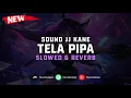 Download Lagu DJ Tela Pipa X Mashup ( Slowed \u0026 Reverb ) 🎧