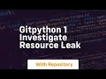 Gitpython 1 investigate resource leak