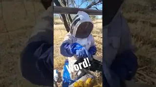 Killerbeeguy Killerbee 