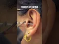 Lagu What is a tragus piercing good for?