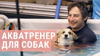 Из маркетолога – в тренера собак. История Павла | ЧЕЛОВЕК ДЕЙСТВИЯ