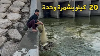 صيد الأسماك بأعداد لاتصدق 