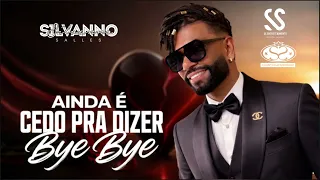 AINDA É CEDO PRA DIZER BYE BYE - SILVANNO SALLES