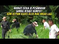 Lagu NIKMATI SENJA DI PESAWAHAN | SAMBIL NYABIT RUMPUT - KDM KEPOIN KADES OLEH MAU NIKAH LAGI