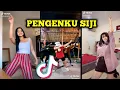 TIK TOK AKU TENANG KOPLO - TIKTOK VIRAL - TIKTOK TERBARU2020