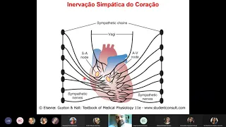 Fisiologia do Controle da Pressão Arterial - curto prazo