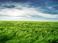 akeboshi wind (instrumental)