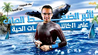 شرح عالمي تأثير الضغط المائي علي الكائنات الحية علوم متكاملة اولي ثانوي 2026 