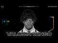 Download Lagu Airic x Inkos'yamagcokama - Valumnyango (Official Audio Visualizer)