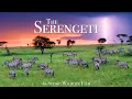 Download Lagu The Serengeti 4K - Scenic Wildlife Film With African Music