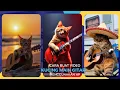 Download Lagu TUTORIAL cara membuat video kucing main gitar menggunakan HP | Ide konten viral