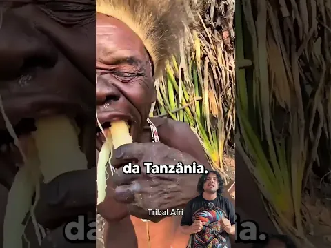 TERROR DOS DENTISTAS