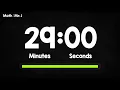 29-Minute Timer