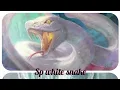 Suara walet teruji🐦sp white snake#rbw#sp#si#bw#rm