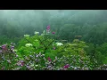 Rain Sounds with Tibetan Singing Bowls And Birds chirping  Sleep Music