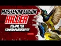 Download Lagu MASTERAN SOGON‼️ KILLER VOL TOA SAMPAI PARKIRAN!! #sogon #sogongacor #sogokontong #sunbird