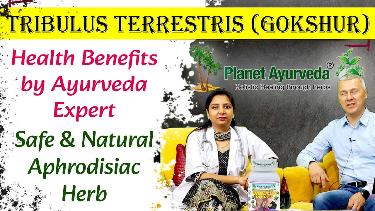 Watch Video Tribulus Terrestris (Gokshur) - Health Benefits by Ayurveda Expert - Safe & Natural Aphrodisiac Herb