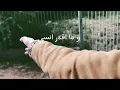 Ghaliaa - Bedi E7kik / بدي احكيك (Lyric Video)