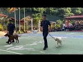 Lagu Program Jemputan Khas PDRM (K9)