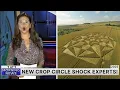 Download Lagu Quantum AI Just Analyzed a Fresh Crop Circle — Experts Are Lost for Words