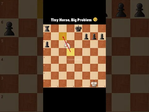 Tiny Horse BUT Big Problem #chess #chessmemes #funnychess