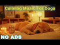 Download Lagu 12 HOURS of Dog Calming Music For Dogs🎵💖Anti Separation Anxiety Relief Music🐶Sleep dog Healing🎵