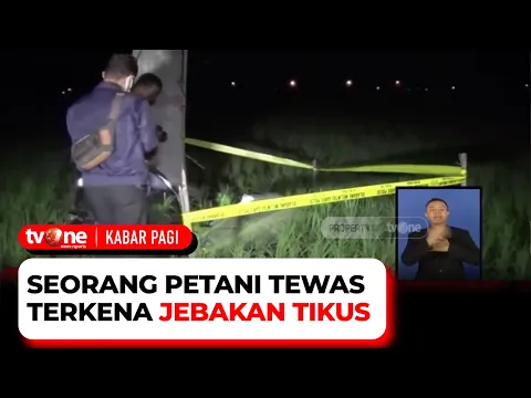 Tragis! Seorang Petani Tewas Tersetrum Kawat Listrik Jebakan Tikus